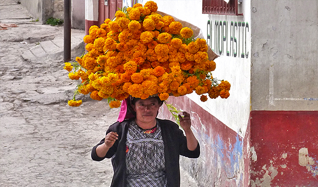 Woman taking Flowers for the Saint Day in Guatemala